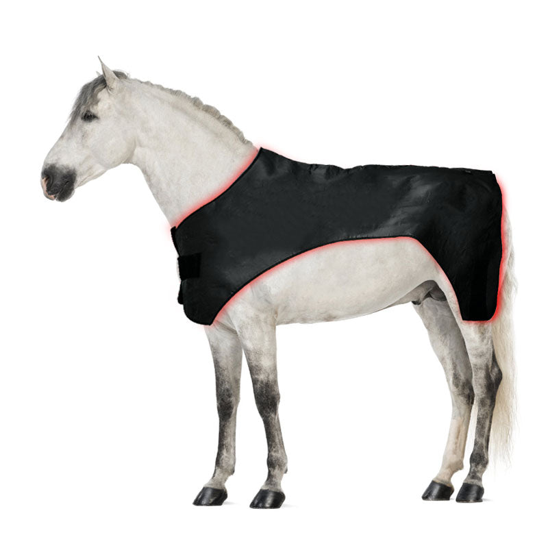 Advanced Full-Body Equine Red Light Therapy Blanket - ClinicPBM