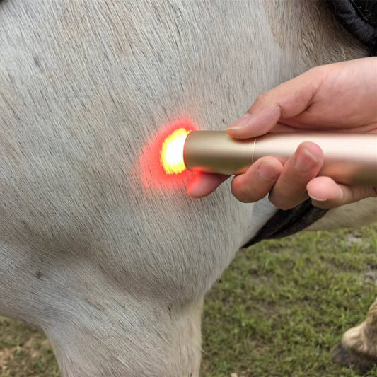 Horse Dog Cat Handheld Red Light Therapy Torch â€“ ClinicPBM