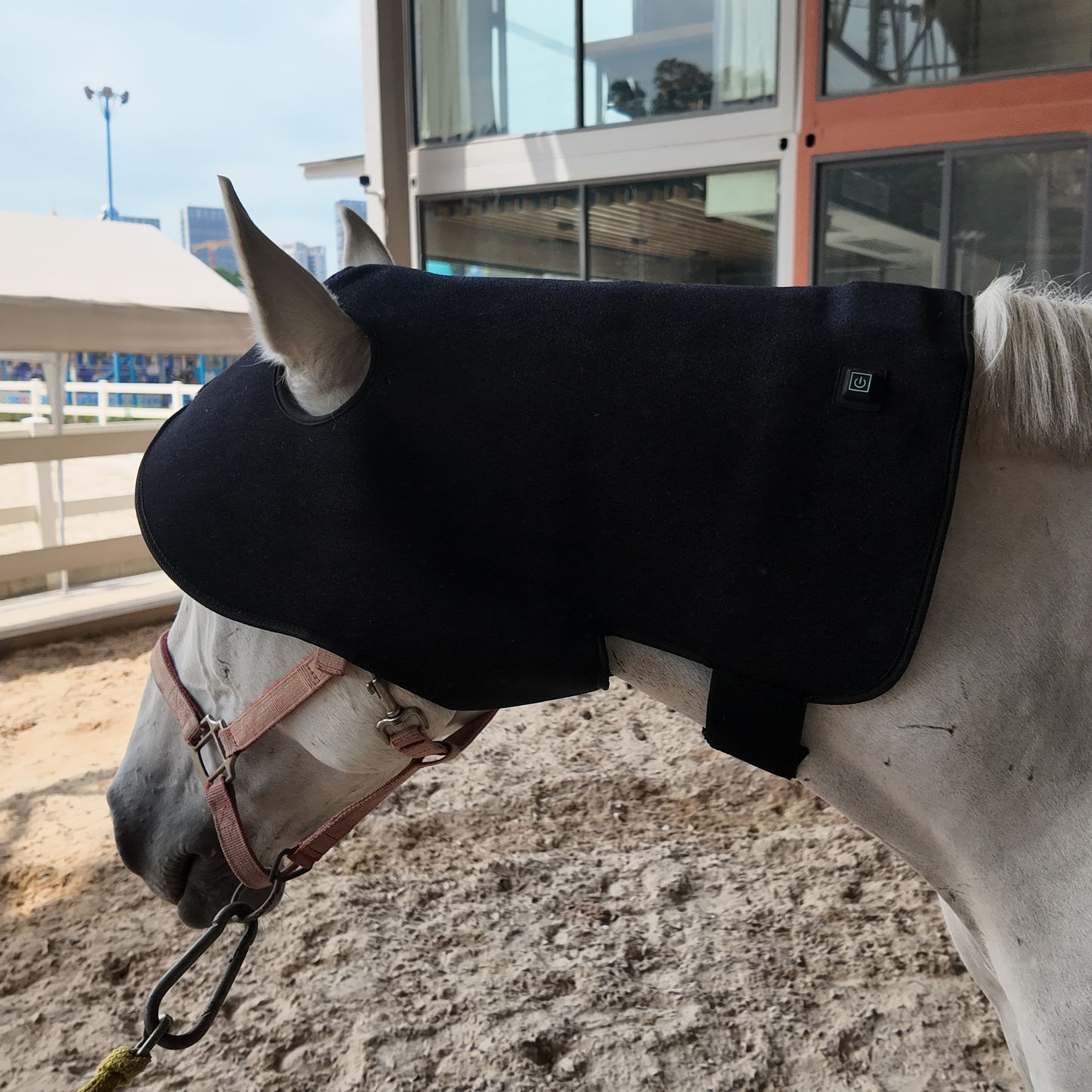 ClinicPBM Equine Red Light Therapy Poll Cap - Size for Pony