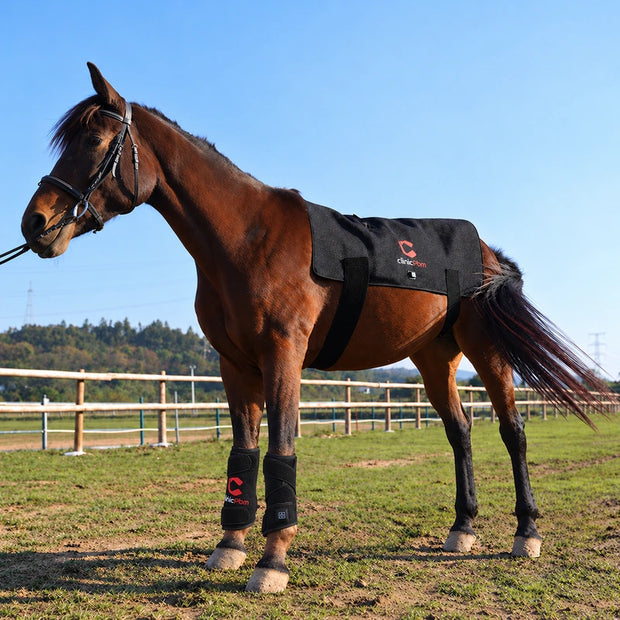 Horse Back & Leg Red Light Therapy Bundle — Full-Body Recovery Set (1 + 2)