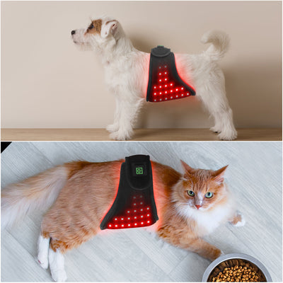 Best Red Light Therapy Device Wrap for Dogs