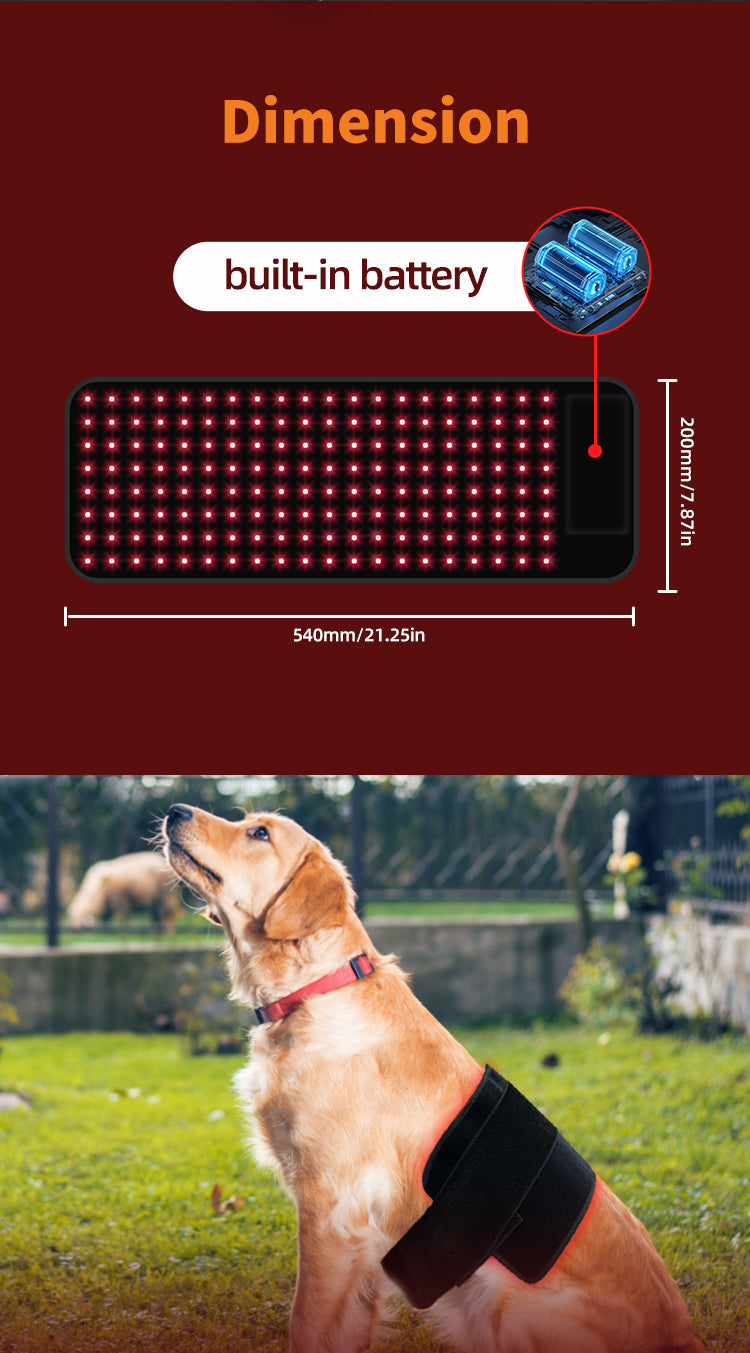 ClinicPBM Red Light Therapy Leg / Back/ Neck Wrap for Horses- Size M