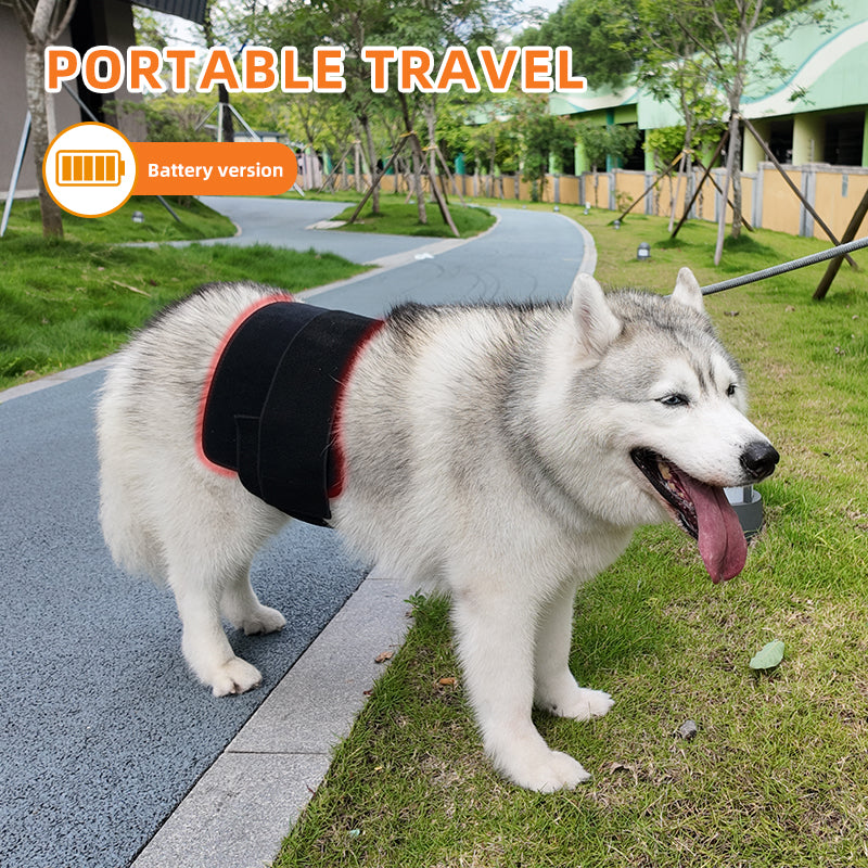 ClinicPBM Red Light Therapy Leg / Back/ Neck Wrap for Horses- Size M